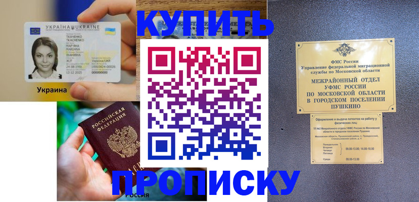 прописка законно в Борзе